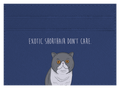 Exotic Shorthair don't care