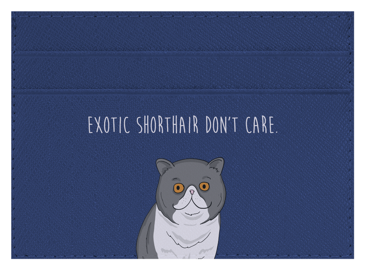 Exotic Shorthair don't care