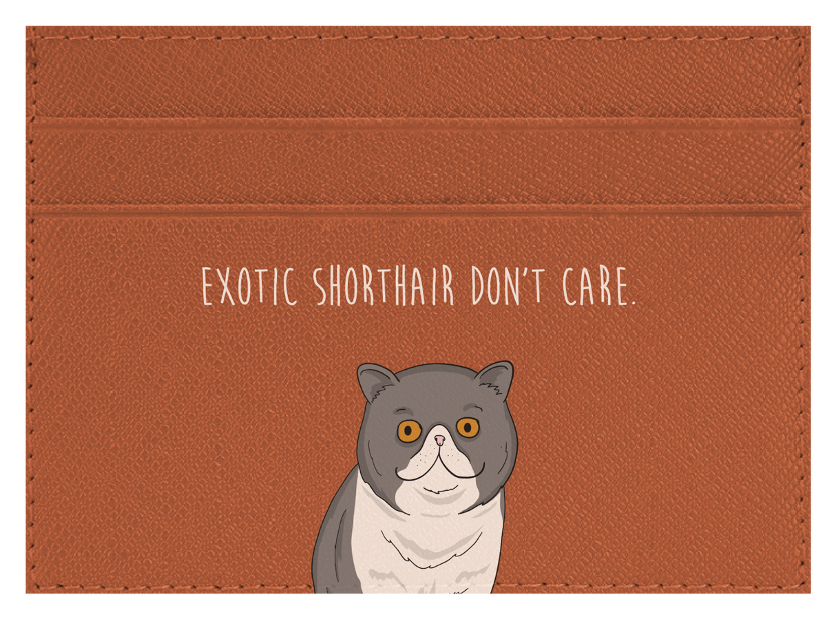 Exotic Shorthair don't care