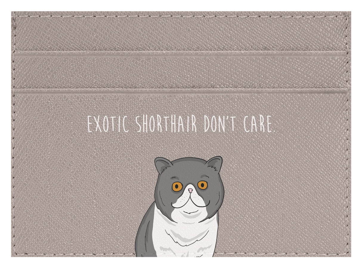 Exotic Shorthair don't care