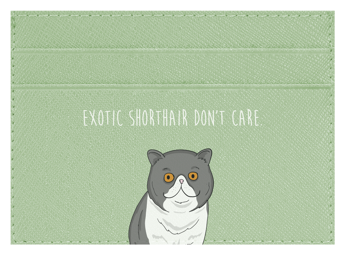 Exotic Shorthair don't care
