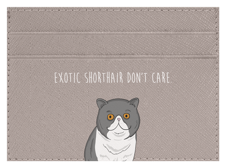 Exotic Shorthair don't care