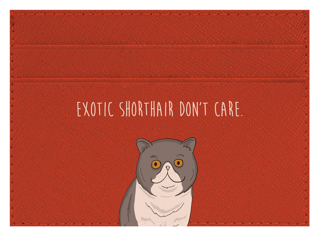 Exotic Shorthair don't care