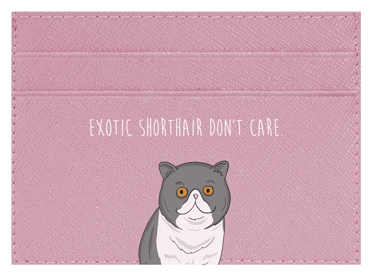 Exotic Shorthair don't care