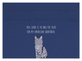 this card only for American Shorthair