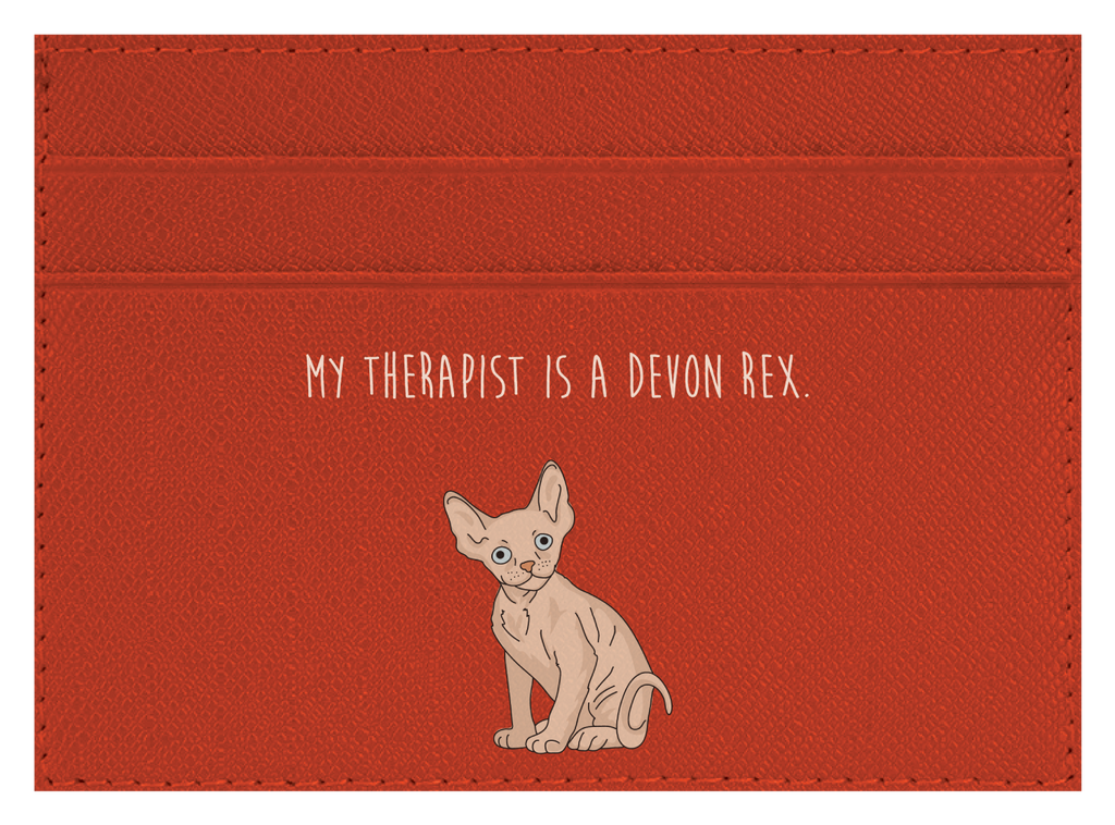 My therapist is a Devon Rex