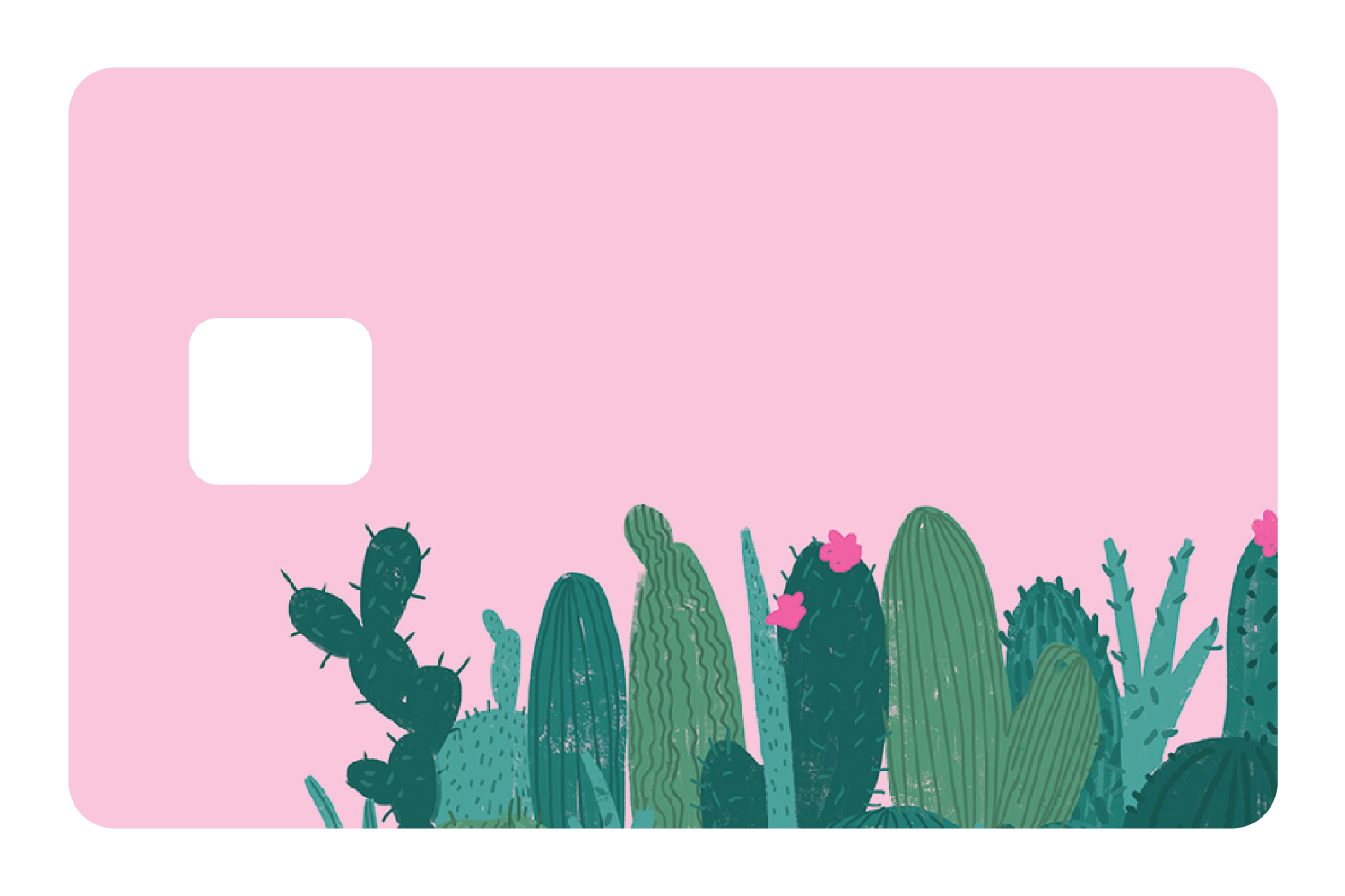 Pink Cactus