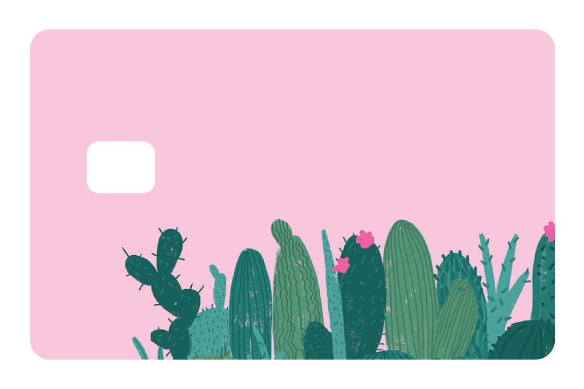 Pink Cactus