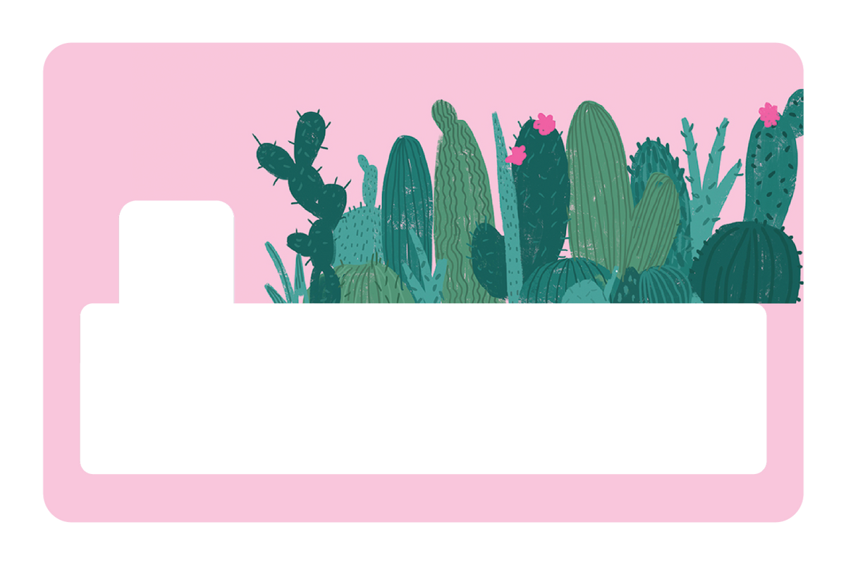 Pink Cactus