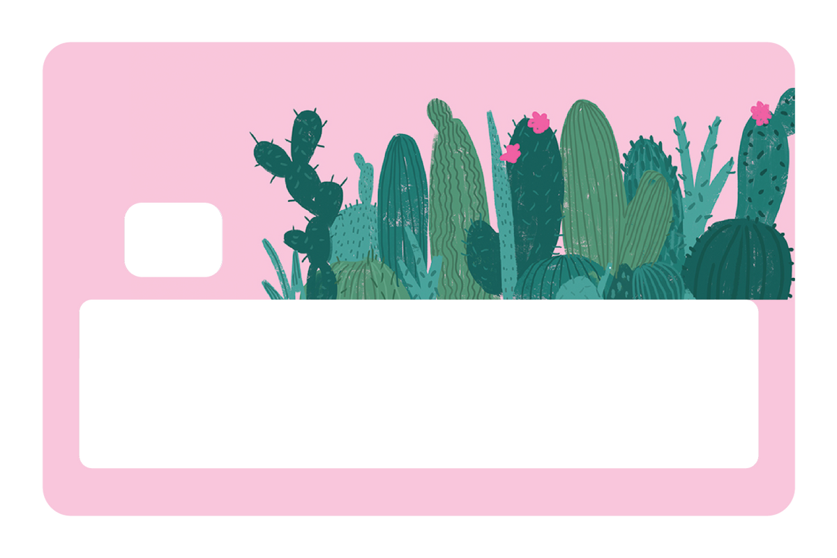 Pink Cactus