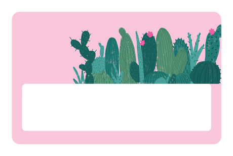 Pink Cactus