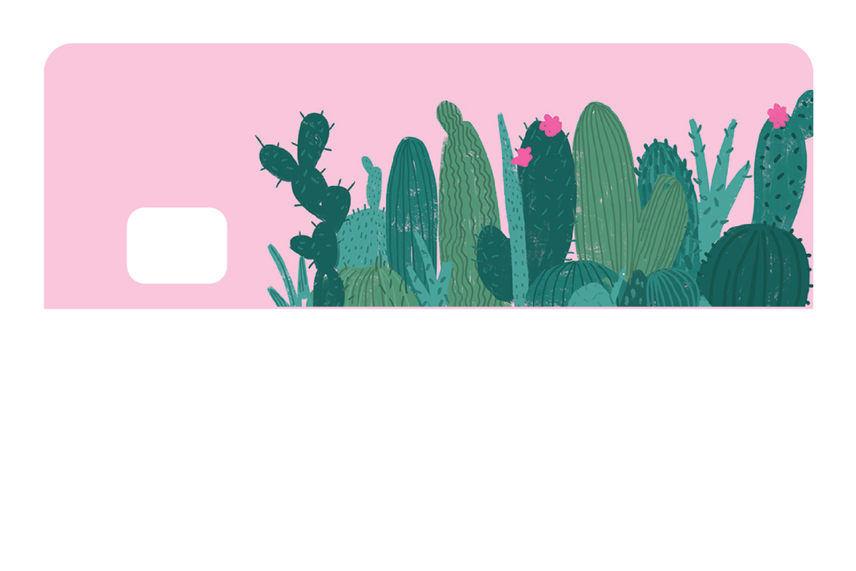 Pink Cactus