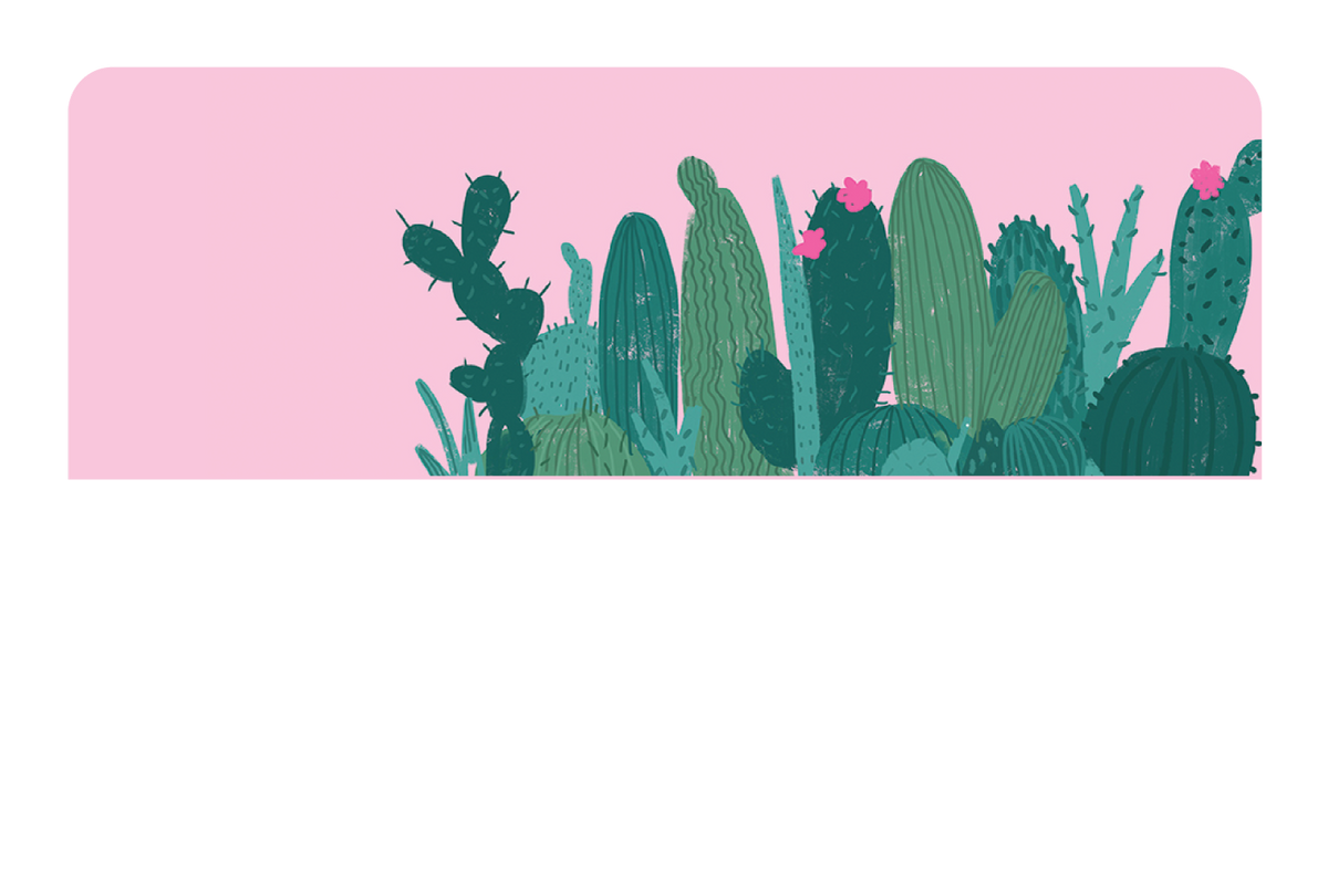 Pink Cactus