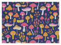 Magic Mushrooms