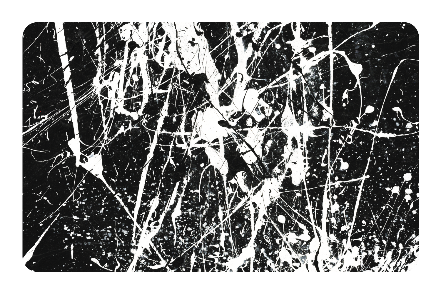 White Splash