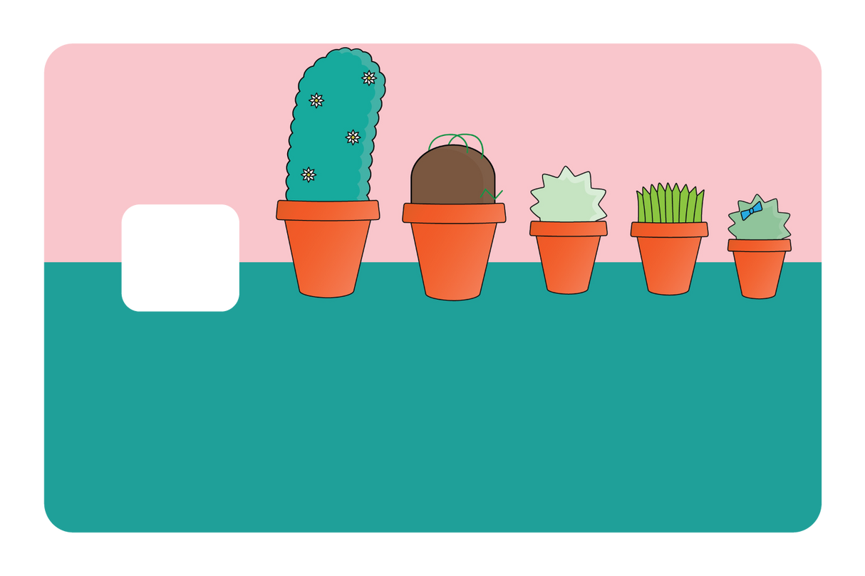 Pots & Plants