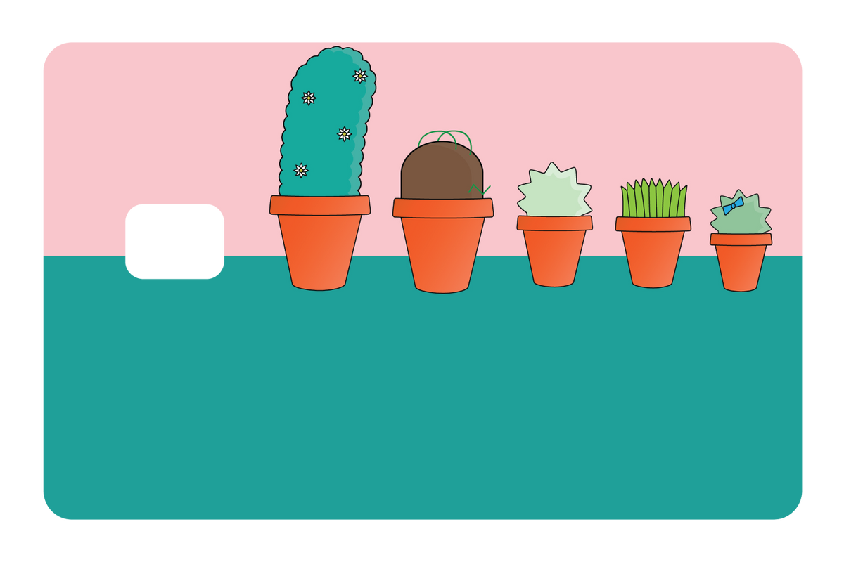 Pots & Plants