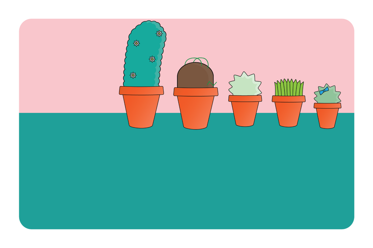 Pots & Plants