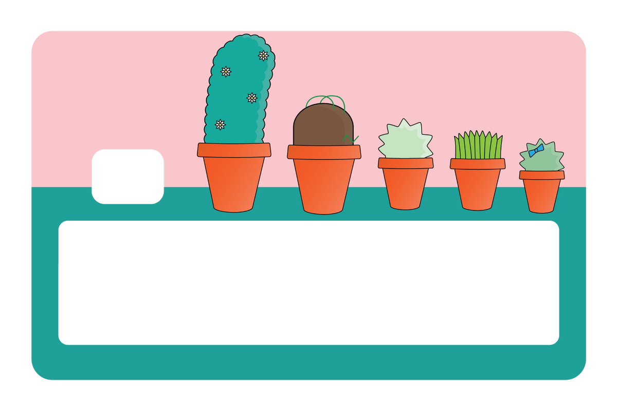 Pots & Plants