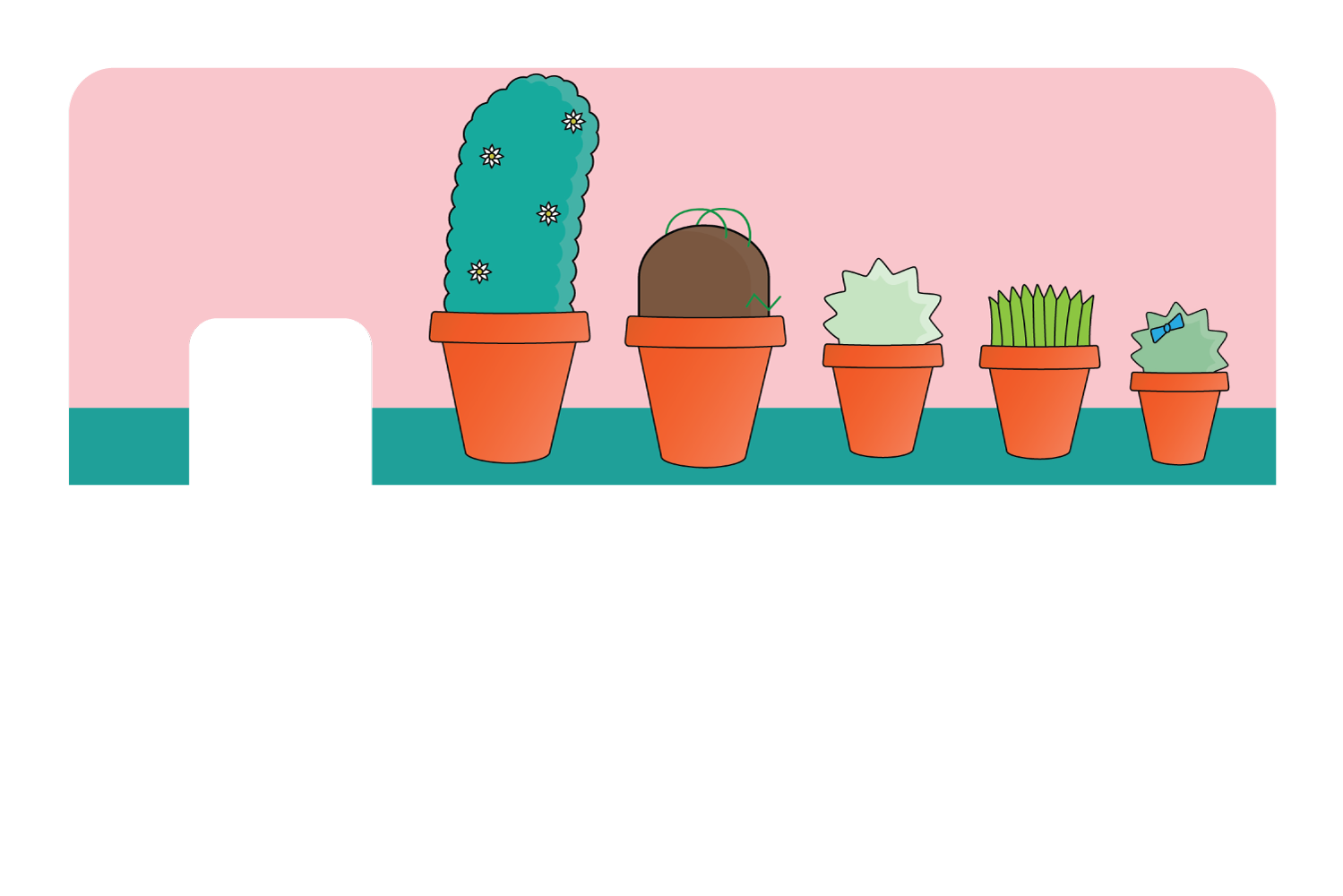 Pots & Plants