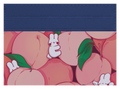 Peach Bunnies