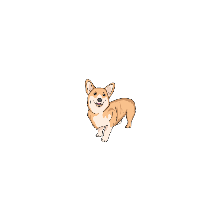 Corgi