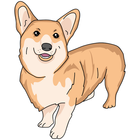 Corgi