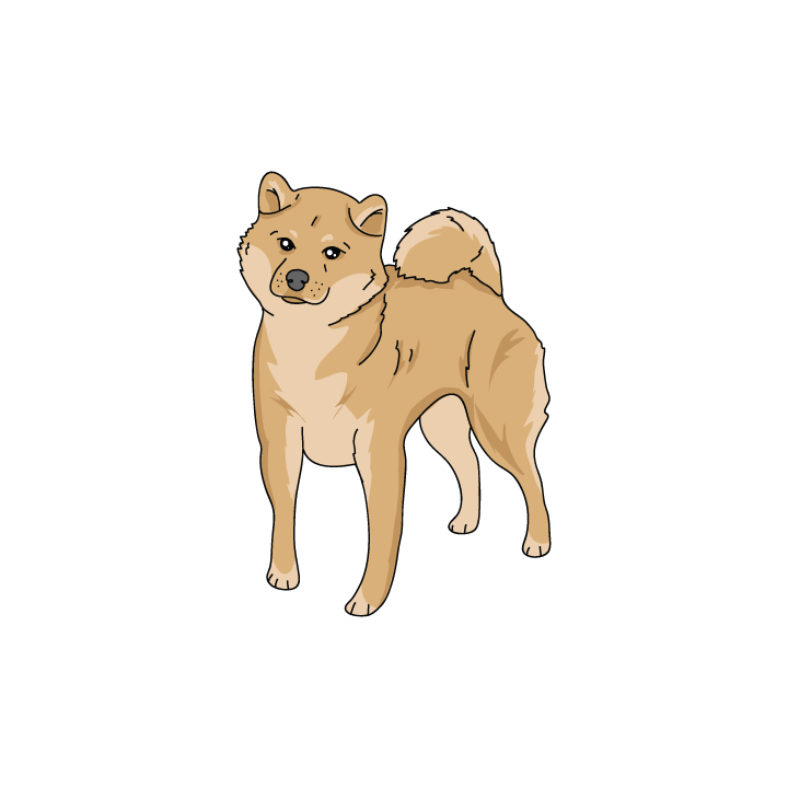 Shiba Inu