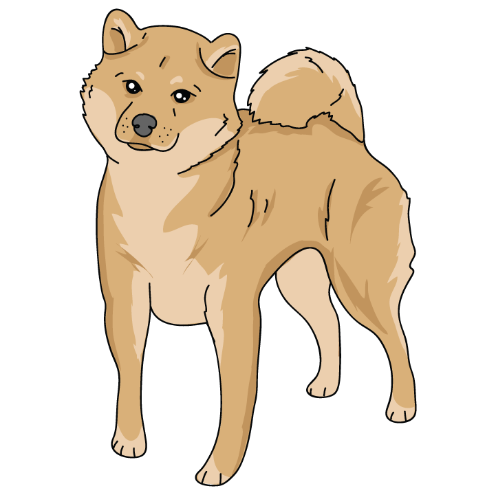 Shiba Inu