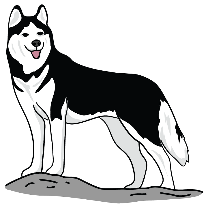 Husky