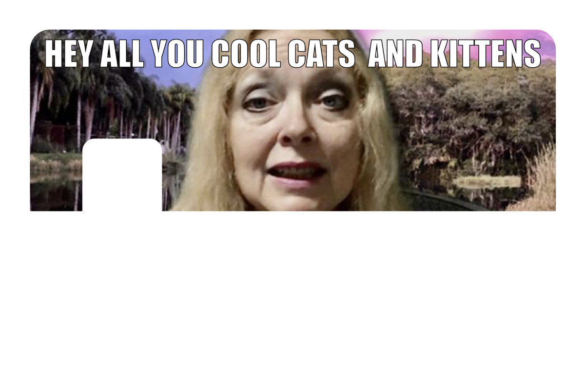 Cool Cats and Kittens