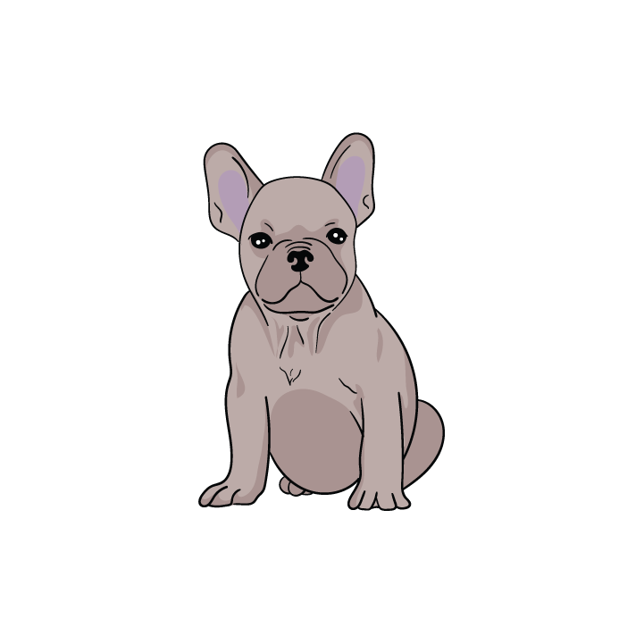 Frenchie