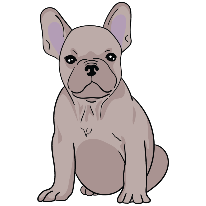 Frenchie