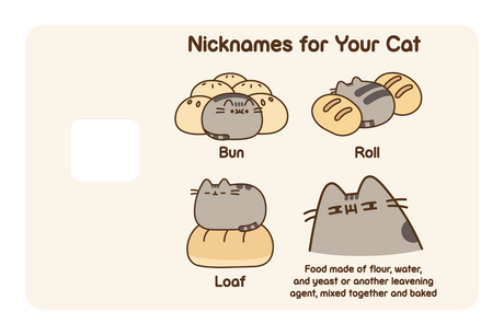 Nicknames For Your Cat