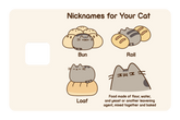 Nicknames For Your Cat