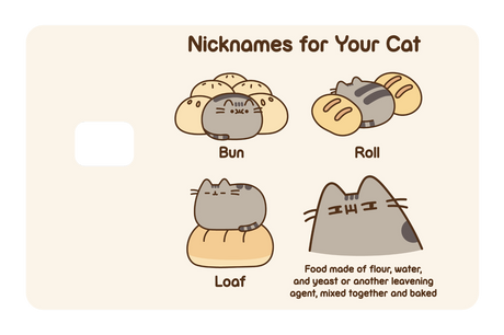 Nicknames For Your Cat