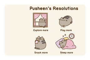 Pusheen Resolution