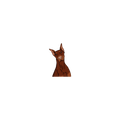 Dobermann