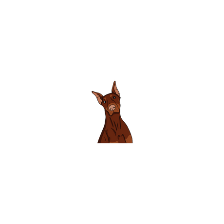 Dobermann