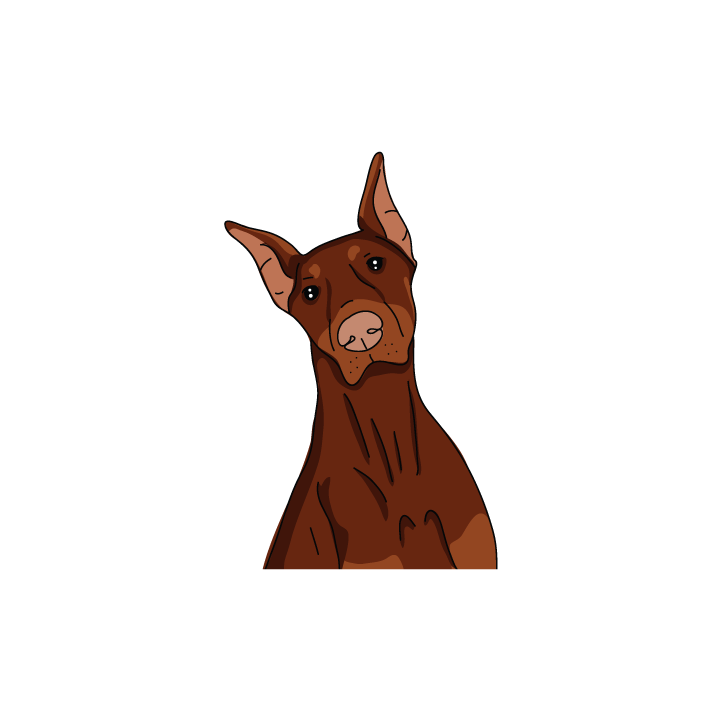 Dobermann