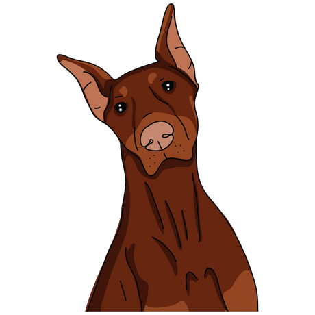 Dobermann