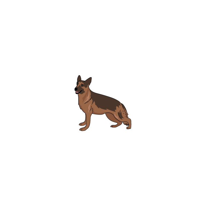 German Shepard