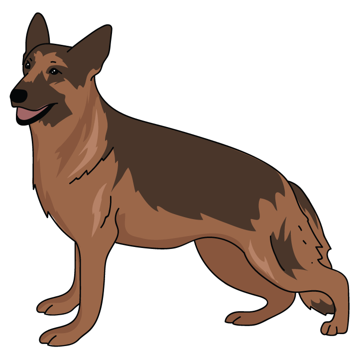 German Shepard