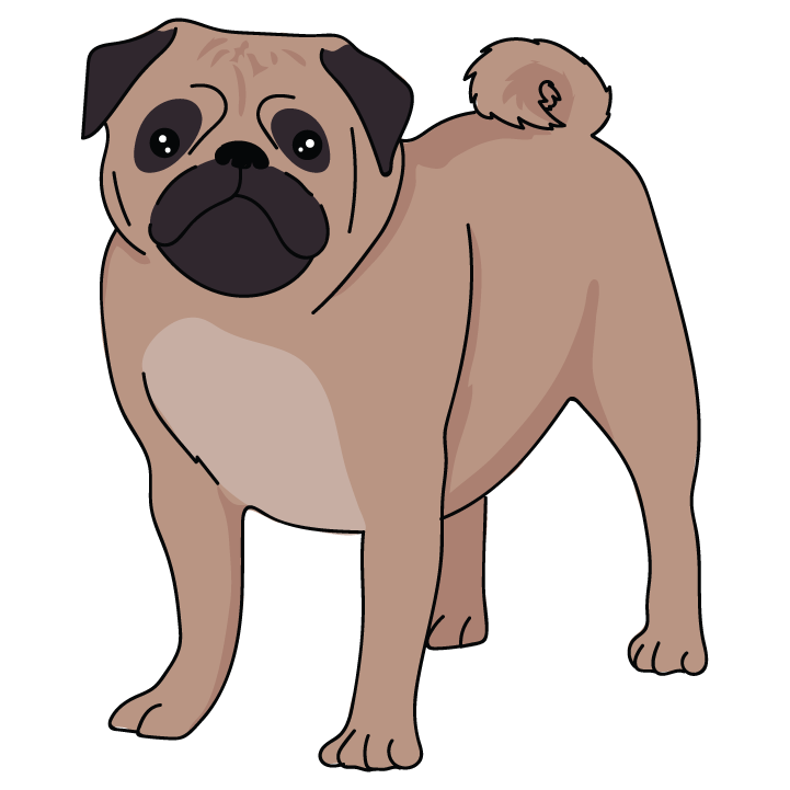 Pug