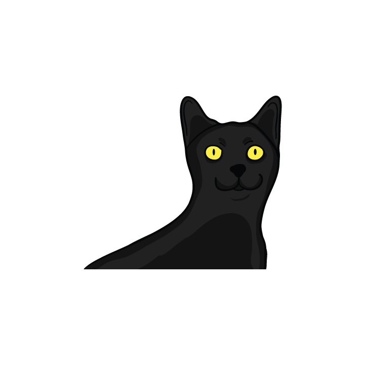 Black Cat