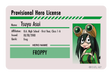 Hero License - Tsuyu Asui - Card Covers - My Hero Academia - CUCU Covers