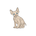 Devon Rex