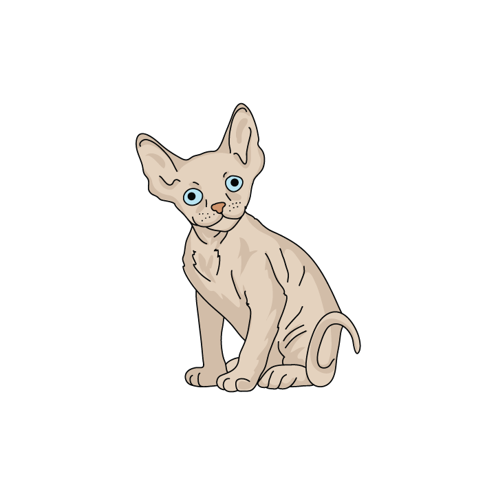 Devon Rex