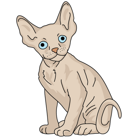 Devon Rex