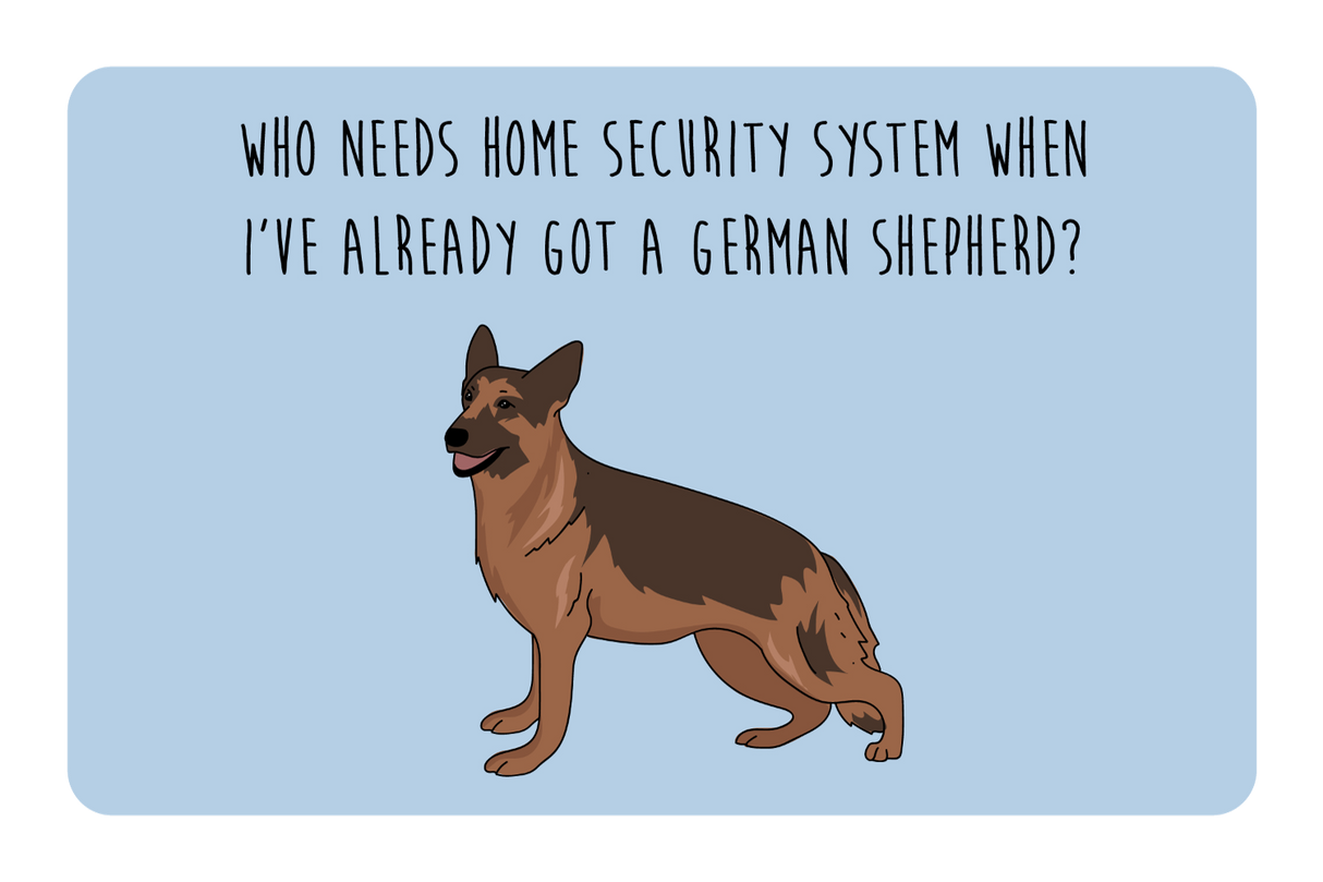 Security Shepard